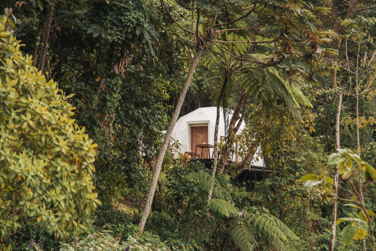 민카 Terramia Estate 빌라 외부 사진
